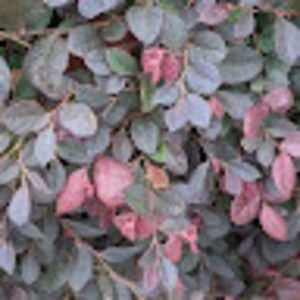 Meet your Posher, Katalin s.